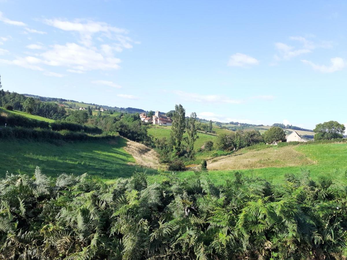 Gite De Belle Vue Semur-en-Brionnais Экстерьер фото