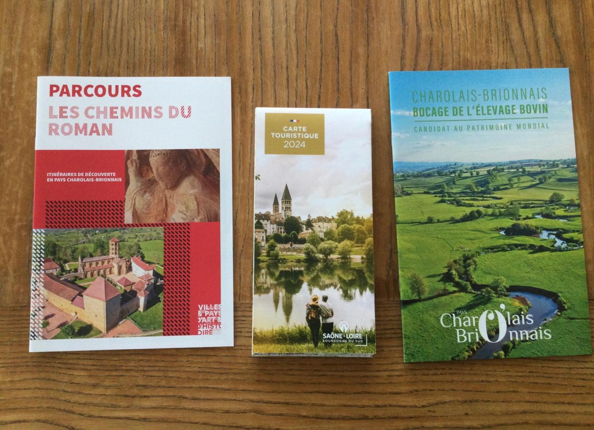 Gite De Belle Vue Semur-en-Brionnais Экстерьер фото