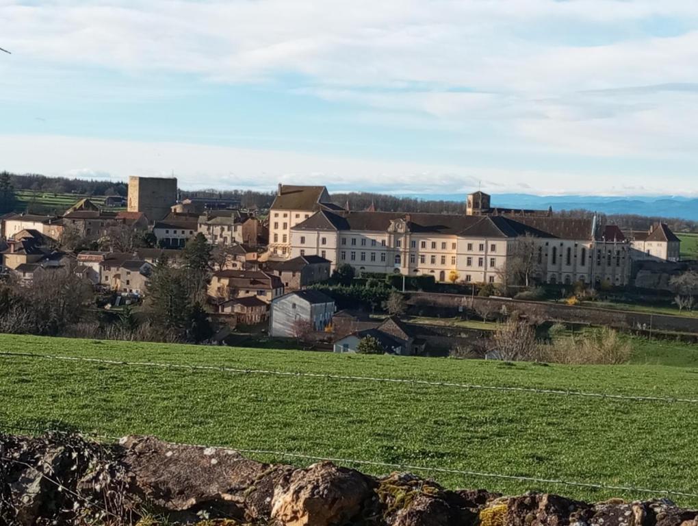 Gite De Belle Vue Semur-en-Brionnais Экстерьер фото